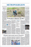 Zeitungsartikel