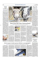 Zeitungsartikel