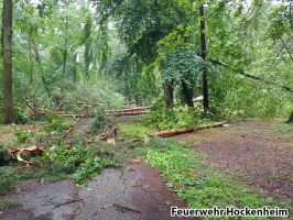 20170803 073133 Stadtwald