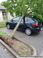 20170803 070749 Baum Auf PKW