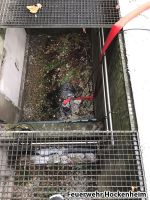 IMG 20170108 WA0019   Kopie