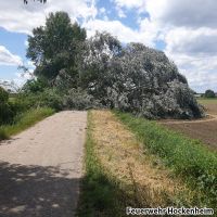 A46437fa 8534 4522 9661 Fcebf236c667