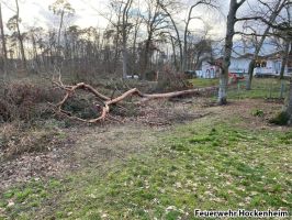 60c0070e C90b 439d 8e70 F9ce4735b53f