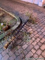 PHOTO 2022 01 08 00 29 31 4