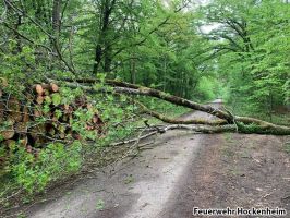 PHOTO 2022 05 01 15 13 49