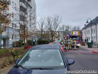 Heinrich HP 20241115